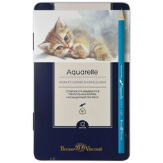 Карандаши цветные акварельные BRUNO VISCONTI Aquarelle 12 цветов металлический пенал, 3 шт