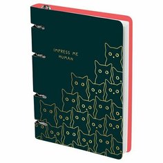 Тетрадь на кольцах Meshu Amazing cats, А5, 100 листов, картон, матовая ламинация, выборочный УФ-лак MS_50665