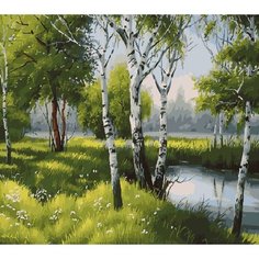 Картина по номерам Родные березы 40х50 см Hobby Home
