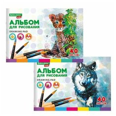 Альбом для рисования, А4, 40 листов, скоба, обложка картон, BRAUBERG KIDS, 200х285 мм, "Зверята" (2 вида), 106683