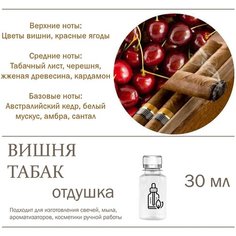 Табак и вишня - отдушка для свечей и мыла (30 мл) Candle M