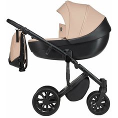 Детская коляска 2 в 1 anex m/type Coral