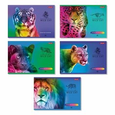 Альбом для рисования SVETOCH Большие кошки на скобе 48 листов