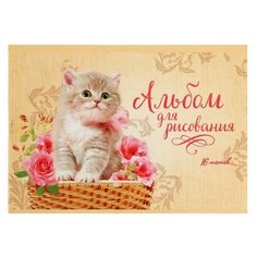 Альбом для рисования А5, 16 листов на скрепке "Котёнок в корзине", обложка мелованный картон, внутренний блок офсет 100 г/м² Calligrata