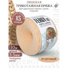 Трикотажная пряжа для вязания / Лицевая / 110м / XS 3-5мм / пудра Fergy