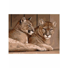 Картина по номерам Львицы 40х50 см АртТойс