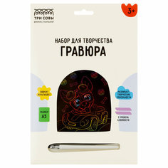 Гравюра с мультицветной основой ТРИ совы "Гонщик", А5 - 3 шт.