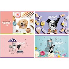 Альбом для рисования 08л, А4, на скрепке BG "Sweet&funny", эконом - 32 шт. BG®