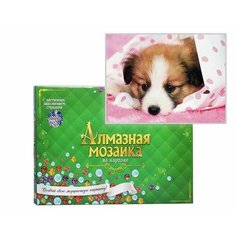 Алмазная мозаика 20х30, без подр, 13 цв. Прелестный щенок Рыжий кот