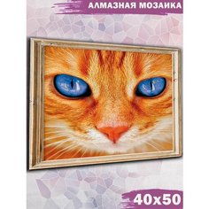 Алмазная мозаика на подрамнике Paintboy