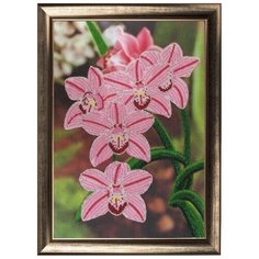 Набор для вышивания бисером "Орхидеи", 36x25 см, Butterfly