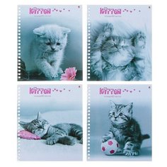 Тетрадь 80 листов в клетку на гребне "Котята", обложка мелованный картон, глянцевая ламинация, микс./В упаковке шт: 1 Альт