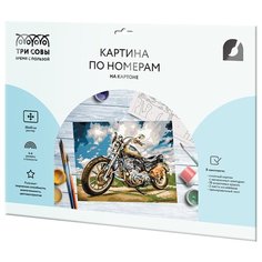 ТРИ СОВЫ картина по номерам На скорости, 30 х 40 см, разноцветный