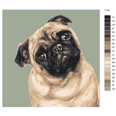 Картина по номерам Y-163 "Удивленный мопс. Собака" 70x70 Brushes Paints