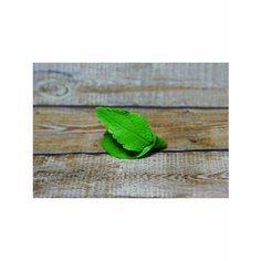 Форма для мыла 2 Листа Hobby Page