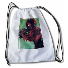 Мешок для сменной обуви с принтом Игры Destiny - 33760 Brut Boxers