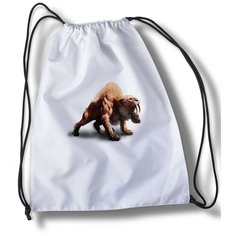 Мешок для сменной обуви Far cry - 20134 Brut Boxers