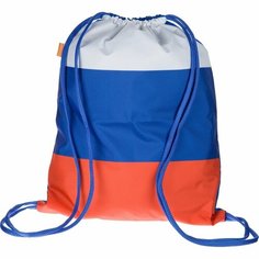 Мешок для обуви №1 School "Триколор", 360х470 мм, 1 отделение (МО-26-1)