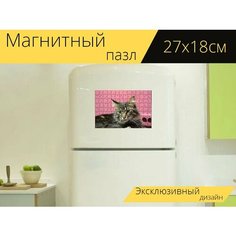 Магнитный пазл "Кот, мейнкун, морда" на холодильник 27 x 18 см. Lots Prints