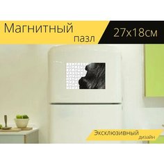 Магнитный пазл "Обезьяна, примат, млекопитающее" на холодильник 27 x 18 см. Lots Prints