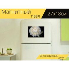 Магнитный пазл "Роза, белый, цветок" на холодильник 27 x 18 см. Lots Prints