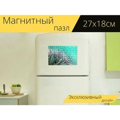 Магнитный пазл "Одуванчик, семена, роса" на холодильник 27 x 18 см. Lots Prints
