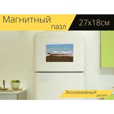 Магнитный пазл "Ящерица, гекко, рептилия" на холодильник 27 x 18 см. Lots Prints