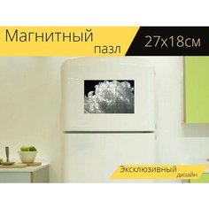 Магнитный пазл "Пион, цветок, белый" на холодильник 27 x 18 см. Lots Prints
