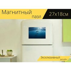 Магнитный пазл "Дельфины, подводный, животные" на холодильник 27 x 18 см. Lots Prints