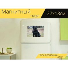 Магнитный пазл "Черный пес, лабрадор" на холодильник 27 x 18 см. Lots Prints
