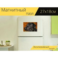 Магнитный пазл "Собака, домашний питомец, лабрадор ретривер" на холодильник 27 x 18 см. Lots Prints