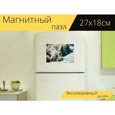 Магнитный пазл "Кошка, лапа, домашний питомец" на холодильник 27 x 18 см. Lots Prints