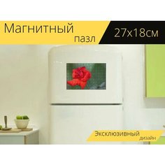 Магнитный пазл "Красная роза, романтичный, красочный" на холодильник 27 x 18 см. Lots Prints