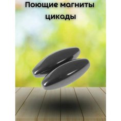 Поющие магниты овалы цикады антистресс игра, размер 40х14 мм, 2 шт Mfgame