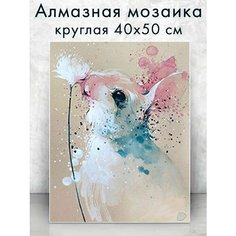 Алмазная мозаика (круглая) Зайка с цветком 40х50 см Colibri