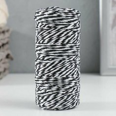 3шт, Пряжа 100% целлюлоза "Softino Raffia Color Melange" кручёная, чёрная 100м +-2м 87 гр