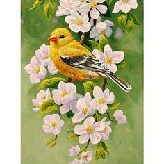Картина по номерам Птица на цветущей ветке 40х50 см АртТойс