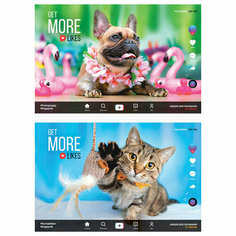 Альбом для рисования 12л, А4, на скрепке ArtSpace "Питомцы. More likes", эконом, 24 штук, 335546 Спейс