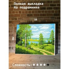 Алмазная мозаика 40х50 Paintboy