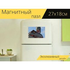 Магнитный пазл "Тираннозавр, тиранозавр рекс, динозавр" на холодильник 27 x 18 см. Lots Prints