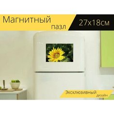 Магнитный пазл "Подсолнечник, цветок, завод" на холодильник 27 x 18 см. Lots Prints