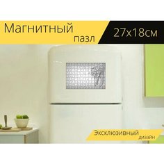 Магнитный пазл "Зуб, стоматология, забавно" на холодильник 27 x 18 см. Lots Prints
