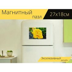 Магнитный пазл "Цветок, цвести, природа" на холодильник 27 x 18 см. Lots Prints