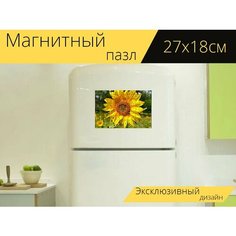 Магнитный пазл "Подсолнух, макрос, красивые цвета" на холодильник 27 x 18 см. Lots Prints