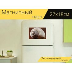 Магнитный пазл "Улитка оболочки, коричневый, закрывать" на холодильник 27 x 18 см. Lots Prints