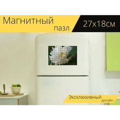 Магнитный пазл "Цветок, астра, сад" на холодильник 27 x 18 см. Lots Prints