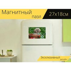 Магнитный пазл "Лхаса апсо, собака, животное" на холодильник 27 x 18 см. Lots Prints