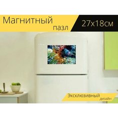 Магнитный пазл "Рыбы, спусковой крючок, спинорог" на холодильник 27 x 18 см. Lots Prints