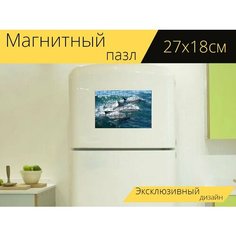 Магнитный пазл "Дельфины, плавание, вода" на холодильник 27 x 18 см. Lots Prints