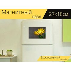 Магнитный пазл "Маргарита, желтый цветок, цвести" на холодильник 27 x 18 см. Lots Prints